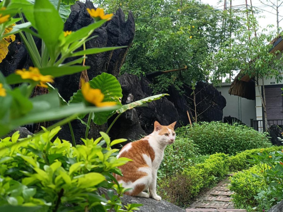 Wings Ha Giang Loop Bungalow Экстерьер фото